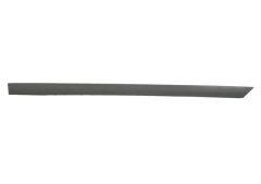 OPEL VECTRA- C- 03/05; ARKA KAPI BANDI SOL GRİ