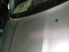 FIAT EGEA- SD/HB- 21/24; MOTOR KAPUTU (İCELİ/ÇEKOMASTİKLİ) (EAGLE BODY)