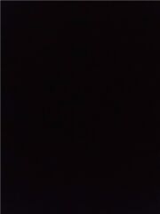 CAMURLUK DAVLUMBAZI ÖNÜN ARKASI SAG  PANAMERA 2010-2017