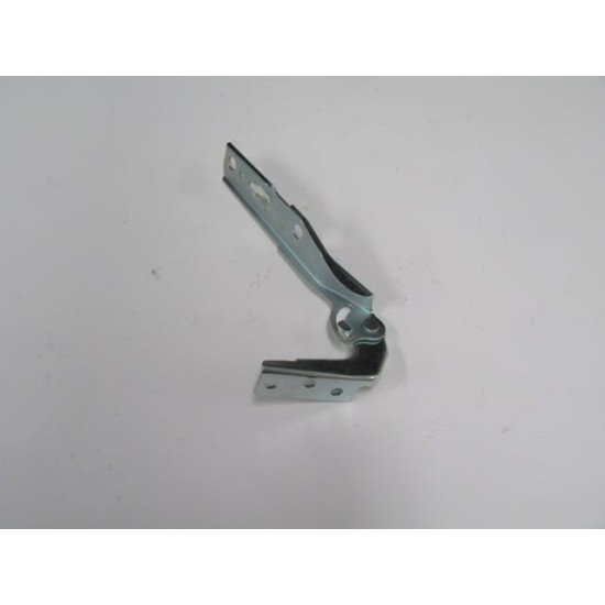 Audi A4 Kaput Menteşesi Sağ (2002-2005)