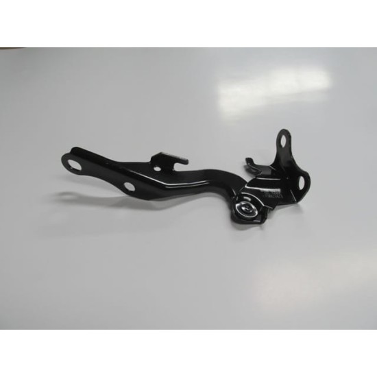 Toyota Avensis Kaput Menteşesi Sağ (2003-2009)