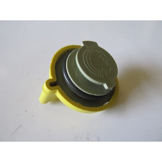 Renault Scenic Motor Yağ Kapağı Benzinli 52,40mm (2000-2003)