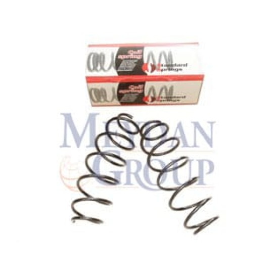 Citroen C3 Ön Helezon Yayı Sağ/sol 1.4i/1.4 16v (2003-2009)